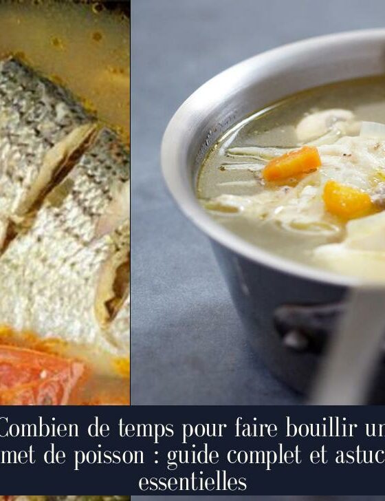 Combien de temps pour faire bouillir un fumet de poisson : guide complet et astuces essentielles