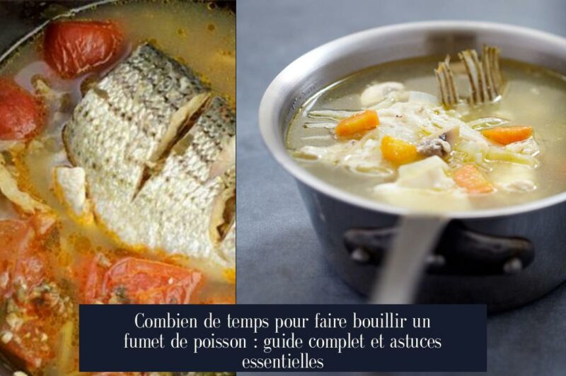 Combien de temps pour faire bouillir un fumet de poisson : guide complet et astuces essentielles