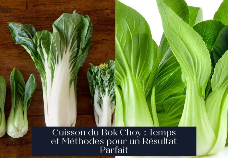Cuisson du Bok Choy : Temps et Méthodes pour un Résultat Parfait