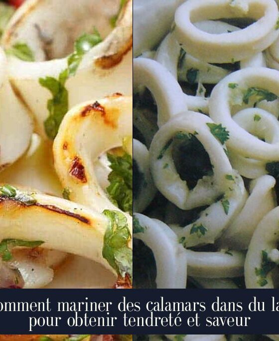 Comment mariner des calamars dans du lait pour obtenir tendreté et saveur