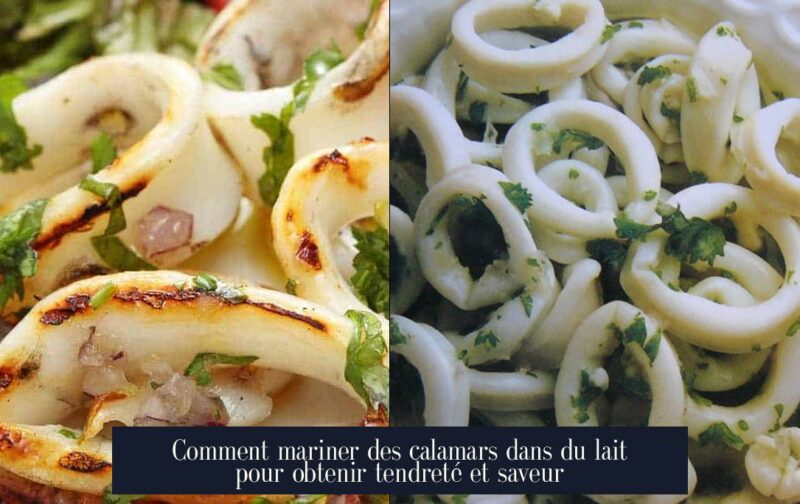Comment mariner des calamars dans du lait pour obtenir tendreté et saveur
