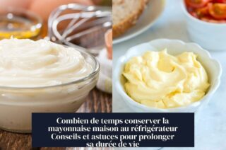 Combien de temps conserver la mayonnaise maison au réfrigérateur Conseils et astuces pour prolonger sa durée de vie