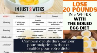Combien d'œufs durs par jour pour maigrir : mythes et réalités pour votre diète
