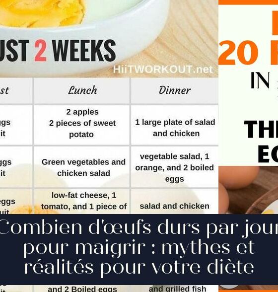 Combien d'œufs durs par jour pour maigrir : mythes et réalités pour votre diète