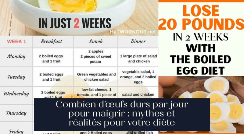 Combien d'œufs durs par jour pour maigrir : mythes et réalités pour votre diète