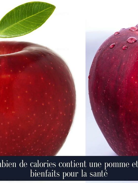 Combien de calories contient une pomme et ses bienfaits pour la santé