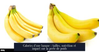 Calories d'une banane : tailles, nutrition et impact sur la perte de poids