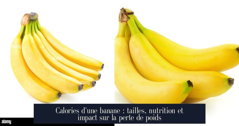 Calories d'une banane : tailles, nutrition et impact sur la perte de poids