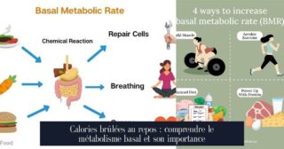 Calories brûlées au repos : comprendre le métabolisme basal et son importance