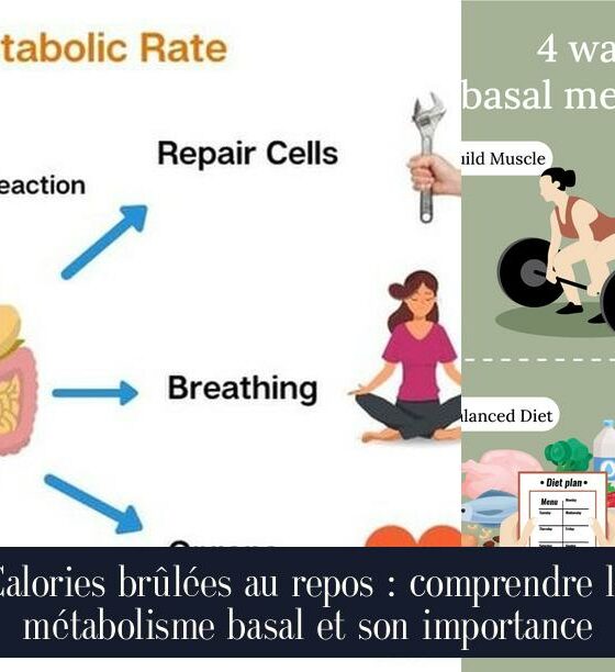 Calories brûlées au repos : comprendre le métabolisme basal et son importance