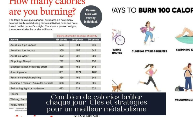 Combien de calories brûler chaque jour Clés et stratégies pour un meilleur métabolisme