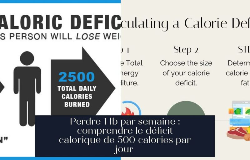 Perdre 1 lb par semaine : comprendre le déficit calorique de 500 calories par jour