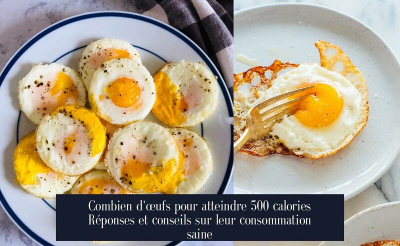 Combien d'œufs pour atteindre 500 calories Réponses et conseils sur leur consommation saine