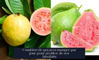Combien de goyaves manger par jour pour profiter de ses bienfaits