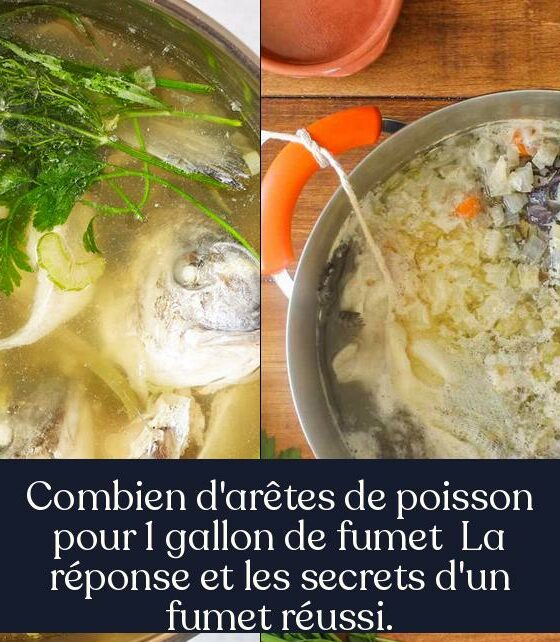 Combien d'arêtes de poisson pour 1 gallon de fumet La réponse et les secrets d'un fumet réussi.