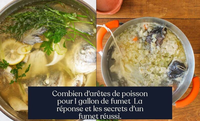 Combien d'arêtes de poisson pour 1 gallon de fumet La réponse et les secrets d'un fumet réussi.