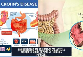Combien de fois par jour fait-on caca avec la maladie de Crohn Réponses et conseils pratiques