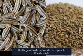 Quelle Quantité de Graines de Carvi pour le Pain de Seigle
