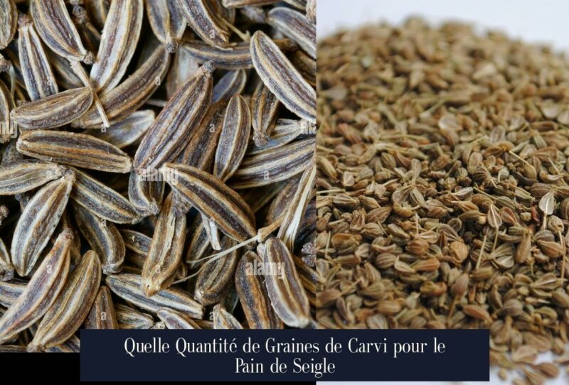 Quelle Quantité de Graines de Carvi pour le Pain de Seigle