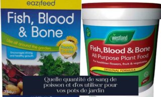 Quelle quantité de sang de poisson et d'os utiliser pour vos pots de jardin
