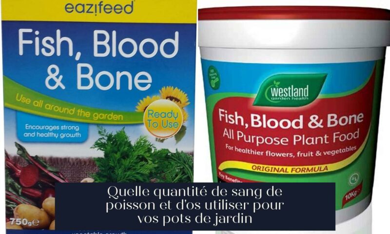 Quelle quantité de sang de poisson et d'os utiliser pour vos pots de jardin