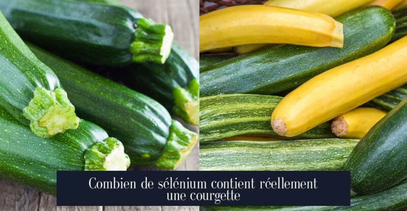 Combien de sélénium contient réellement une courgette