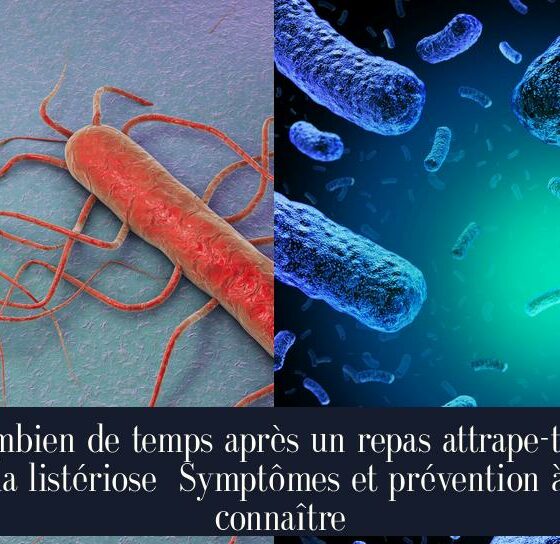 Combien de temps après un repas attrape-t-on la listériose Symptômes et prévention à connaître
