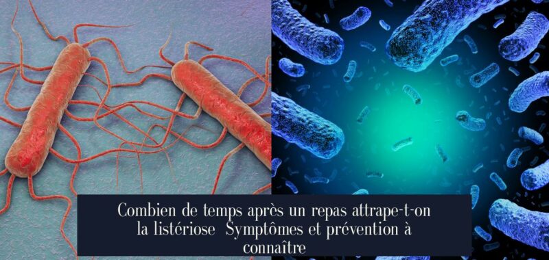 Combien de temps après un repas attrape-t-on la listériose Symptômes et prévention à connaître