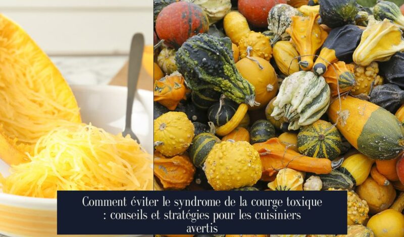 Comment éviter le syndrome de la courge toxique : conseils et stratégies pour les cuisiniers avertis
