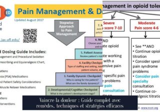 Vaincre la douleur : Guide complet avec remèdes, techniques et stratégies efficaces