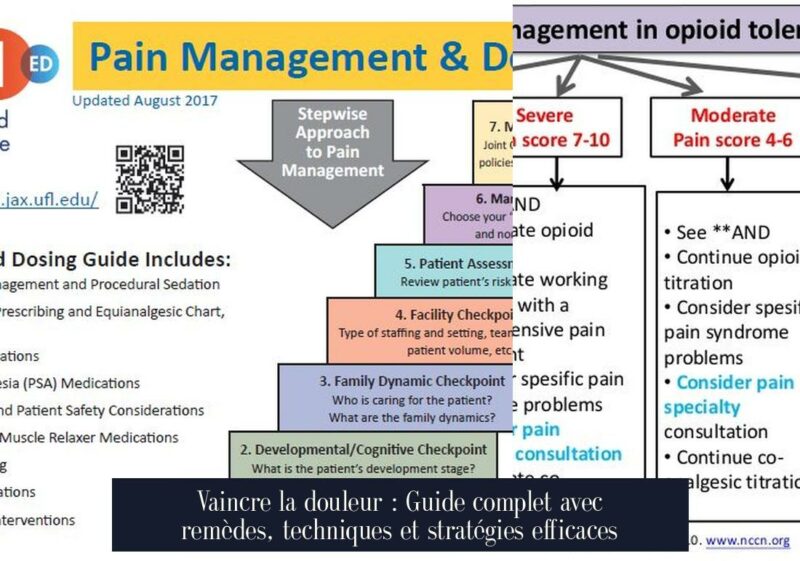 Vaincre la douleur : Guide complet avec remèdes, techniques et stratégies efficaces