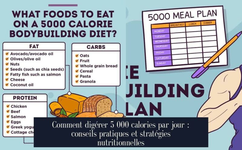 Comment digérer 5 000 calories par jour : conseils pratiques et stratégies nutritionnelles
