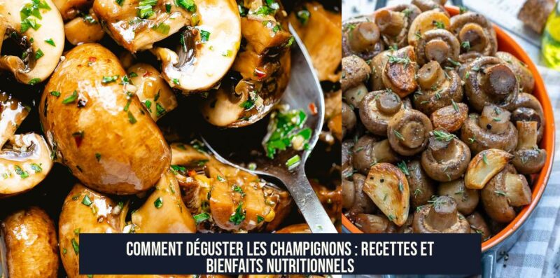 Comment déguster les champignons : recettes et bienfaits nutritionnels
