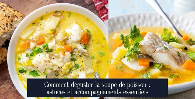 Comment déguster la soupe de poisson : astuces et accompagnements essentiels