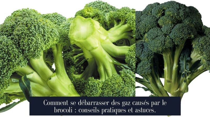 Comment se débarrasser des gaz causés par le brocoli : conseils pratiques et astuces.