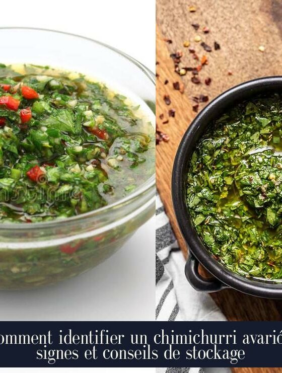 Comment identifier un chimichurri avarié : signes et conseils de stockage
