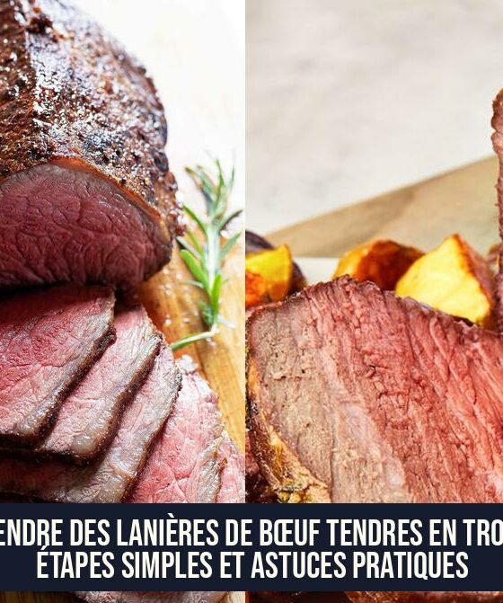 Rendre des lanières de bœuf tendres en trois étapes simples et astuces pratiques