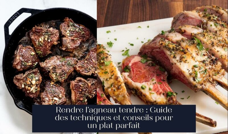 Rendre l'agneau tendre : Guide des techniques et conseils pour un plat parfait