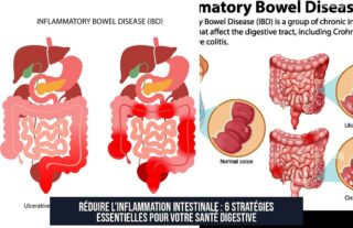 Réduire l'inflammation intestinale : 6 stratégies essentielles pour votre santé digestive