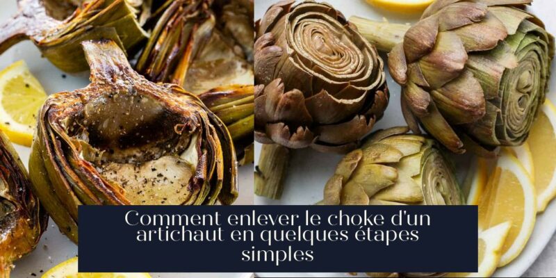 Comment enlever le choke d'un artichaut en quelques étapes simples