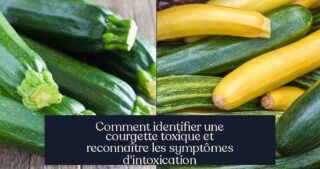 Comment identifier une courgette toxique et reconnaître les symptômes d'intoxication