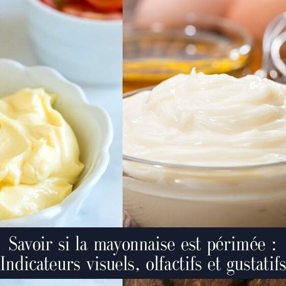 Savoir si la mayonnaise est périmée : Indicateurs visuels, olfactifs et gustatifs