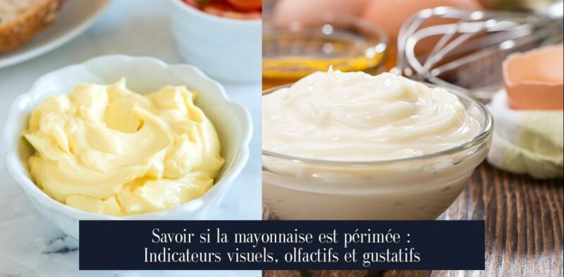Savoir si la mayonnaise est périmée : Indicateurs visuels, olfactifs et gustatifs