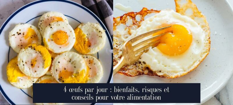 4 œufs par jour : bienfaits, risques et conseils pour votre alimentation