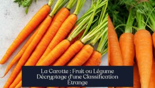 La Carotte : Fruit ou Légume Décryptage d'une Classification Étrange