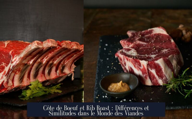 Côte de Boeuf et Rib Roast : Différences et Similitudes dans le Monde des Viandes