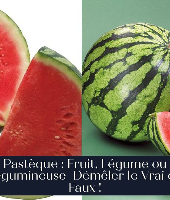 Pastèque : Fruit, Légume ou Légumineuse Démêler le Vrai du Faux !