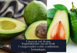 L'avocat est-il une légumineuse ou un fruit Comprendre cette confusion botanique.