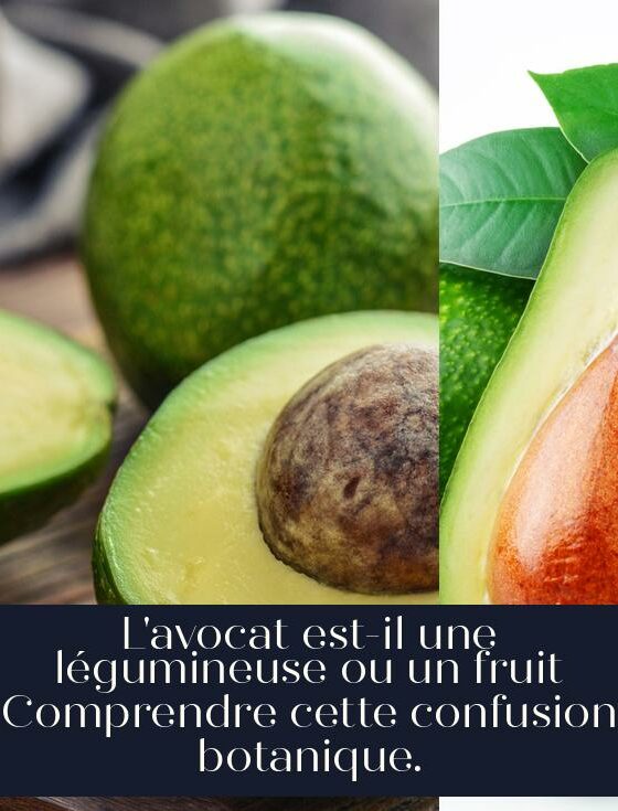 L'avocat est-il une légumineuse ou un fruit Comprendre cette confusion botanique.