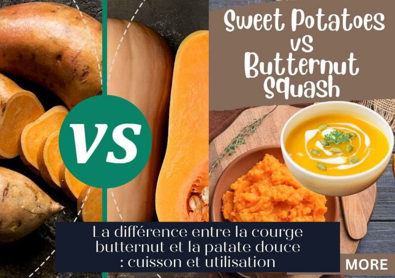 La différence entre la courge butternut et la patate douce : cuisson et utilisation